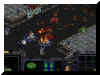 Terrien contre Zerg