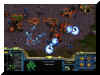 Zerg contre Protoss